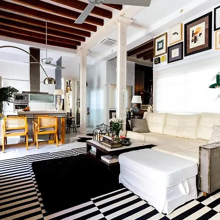 Loft Singular En Casa Regionalista Centro *